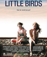 Little Birds /  , 